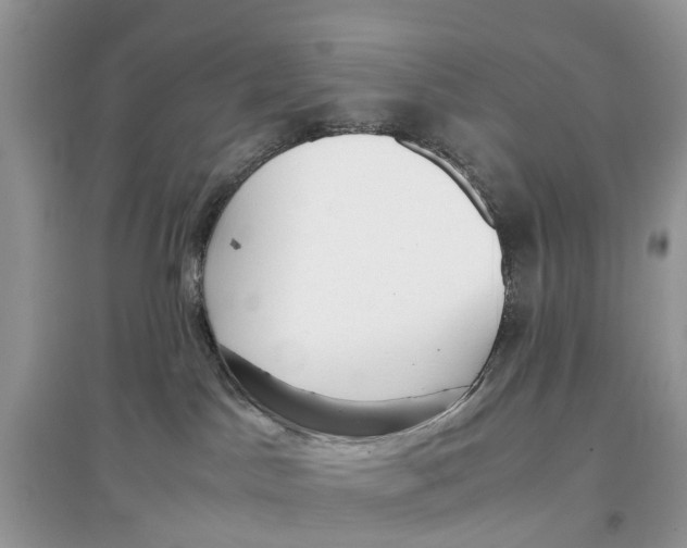 X0000097300045200803071801