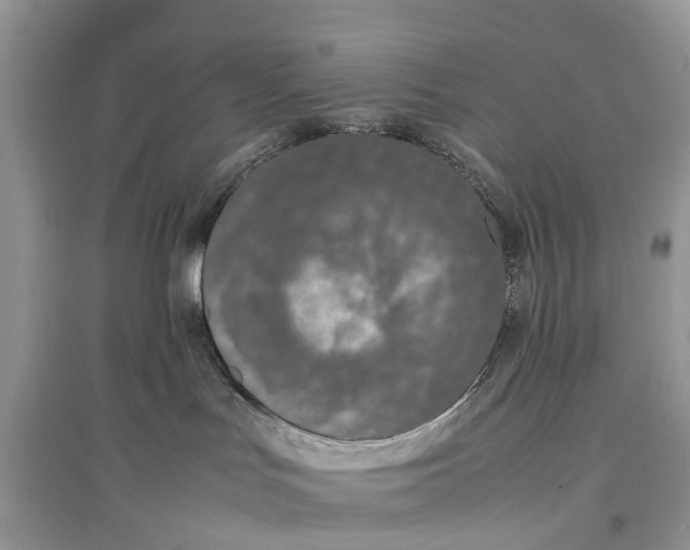 X0000097300047200803071801