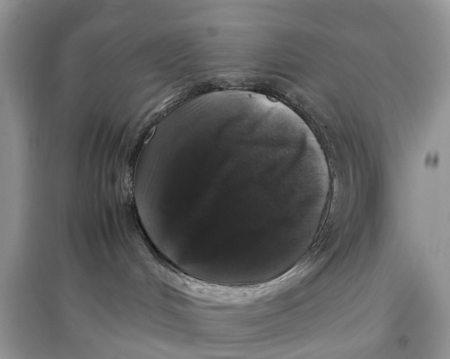 X0000097300048200803071801