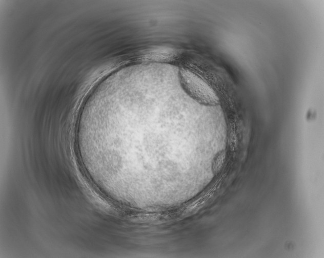 X0000097300049200803071800