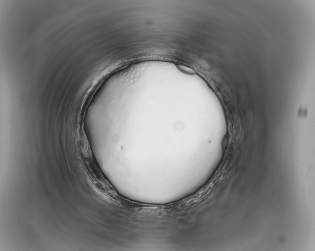 X0000097300050200803071800