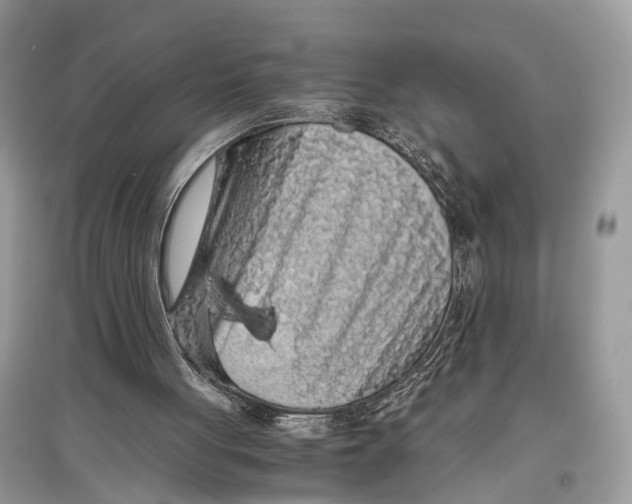 X0000097300051200803071800