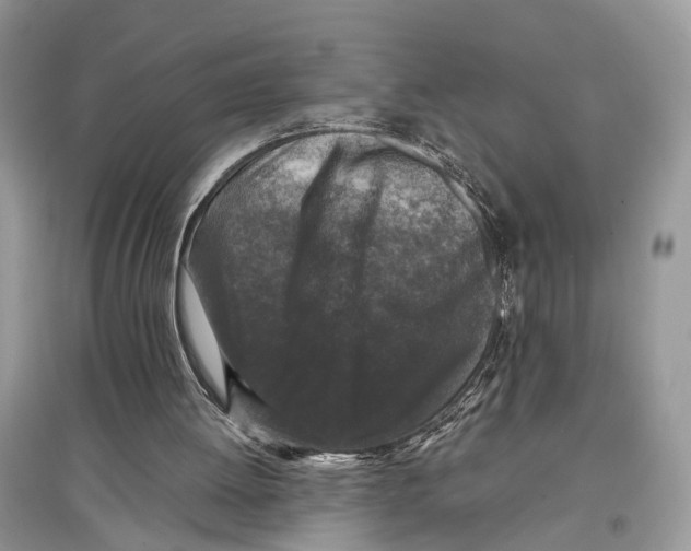 X0000097300052200803071800