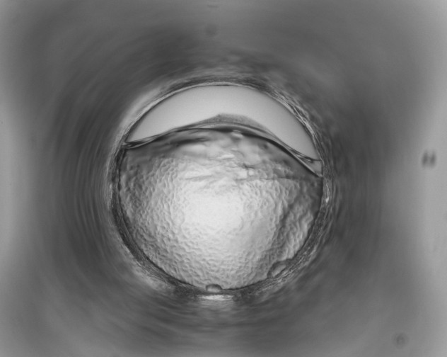 X0000097300053200803071800