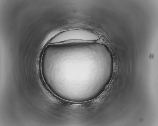 X0000097300054200803071800