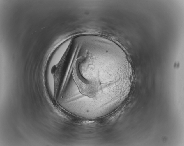 X0000097300055200803071800