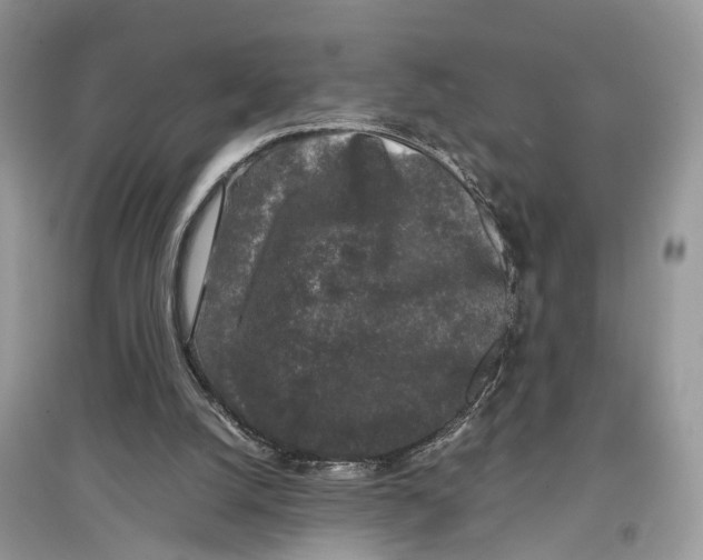 X0000097300056200803071800