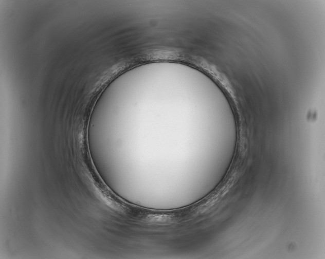 X0000097300057200803071800