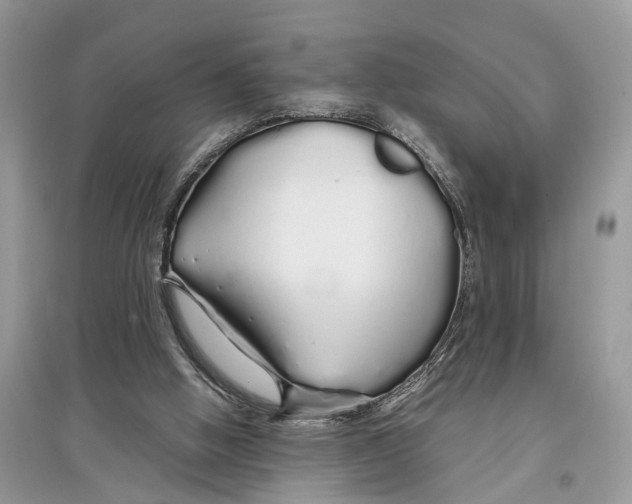 X0000097300058200803071800