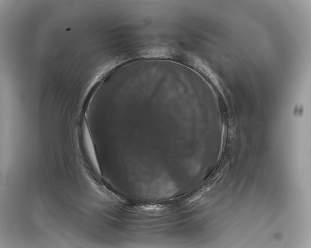 X0000097300059200803071800