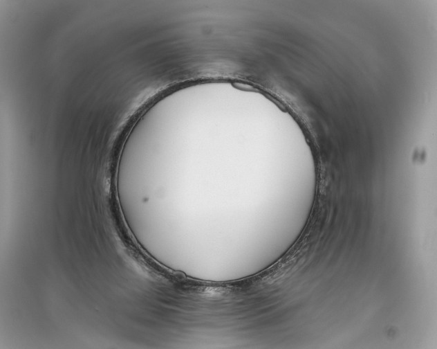 X0000097300060200803071800