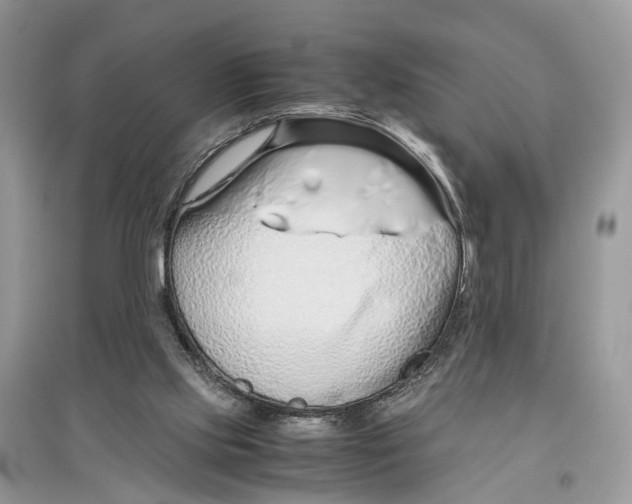 X0000097300061200803071800