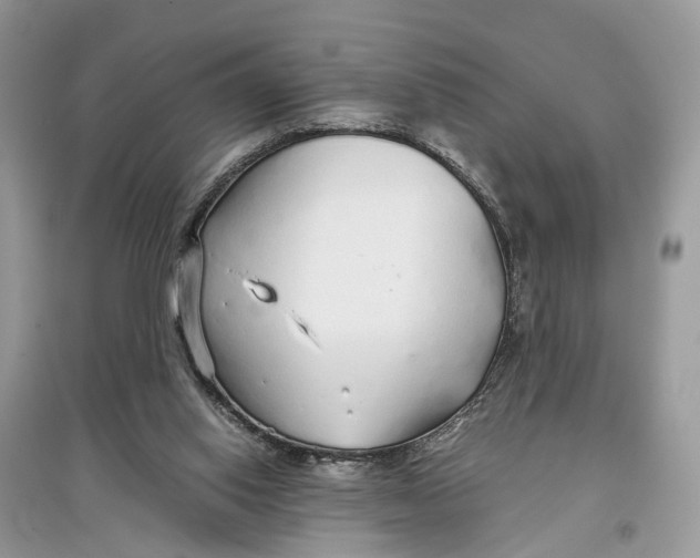 X0000097300062200803071800