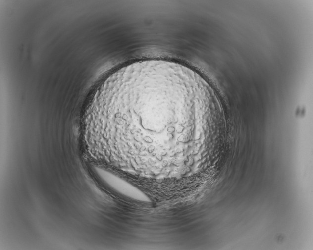 X0000097300063200803071800