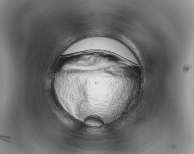 X0000097300065200803071801