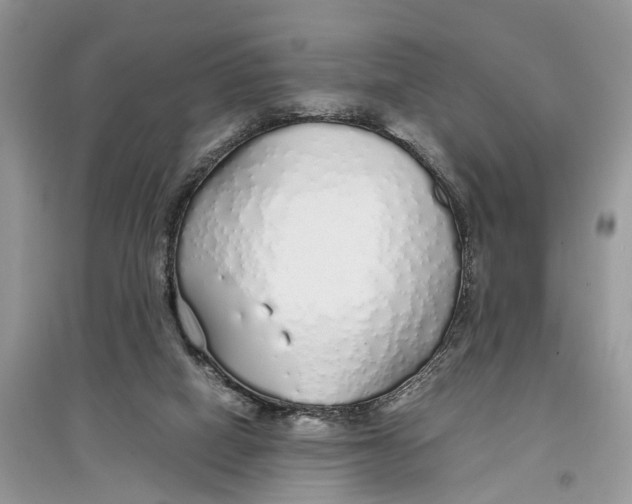 X0000097300066200803071801