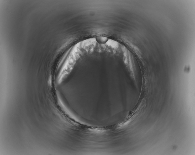 X0000097300067200803071801