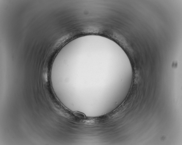 X0000097300068200803071801