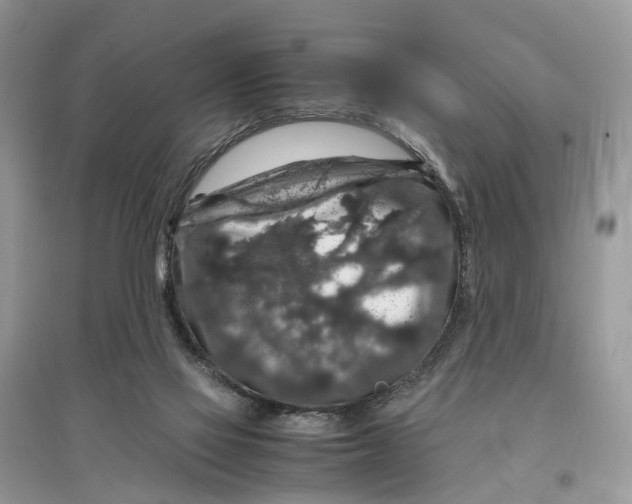 X0000097300069200803071801