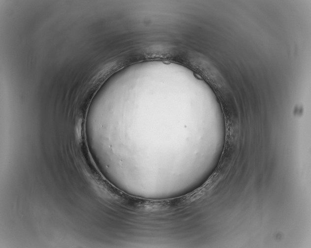 X0000097300070200803071801