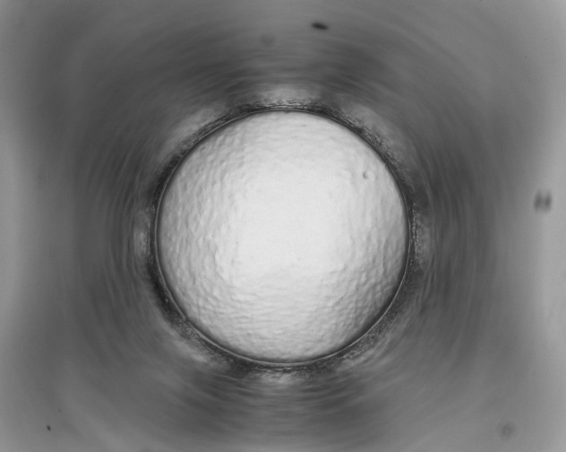 X0000097300071200803071801