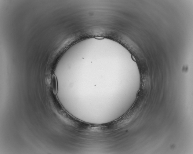 X0000097300072200803071801