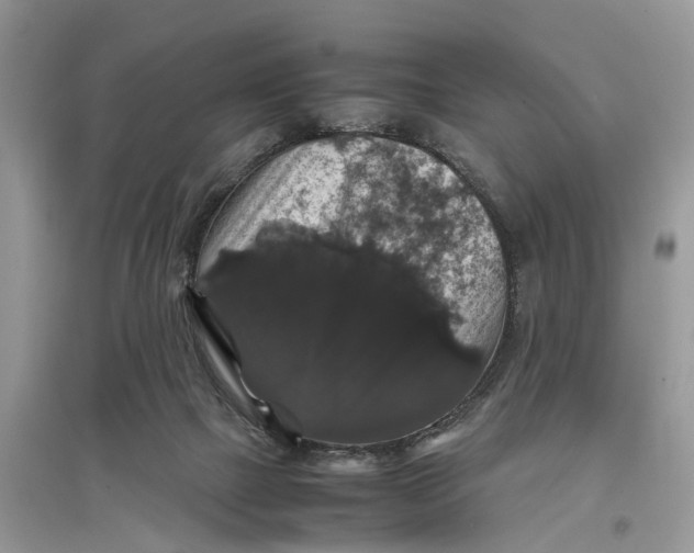 X0000097300073200803071801