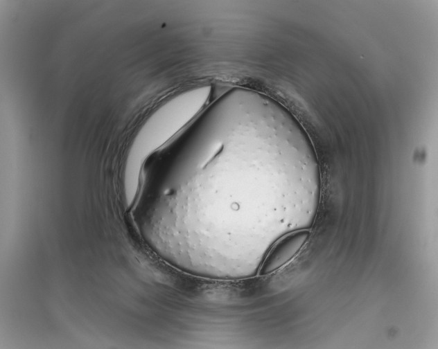 X0000097300074200803071801