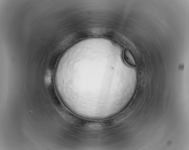 X0000097300075200803071801