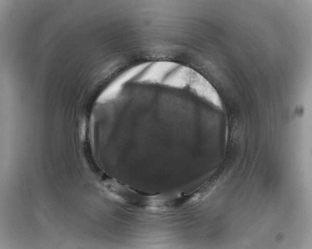 X0000097300076200803071801