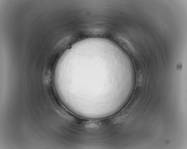 X0000097300077200803071801