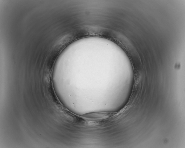 X0000097300078200803071801