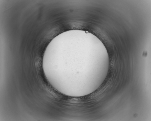 X0000097300079200803071801