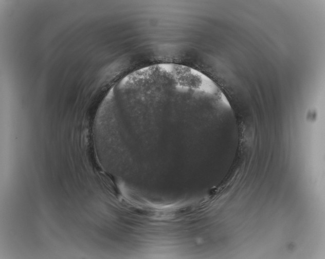 X0000097300080200803071801