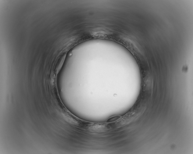 X0000097300081200803071801