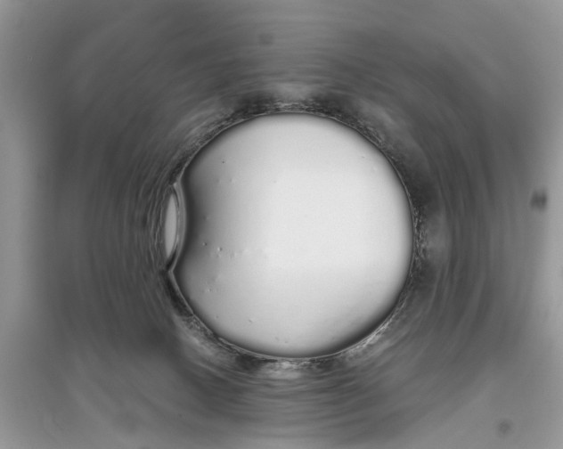 X0000097300082200803071801