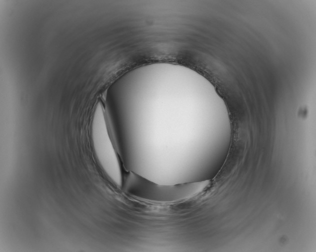 X0000097300084200803071801