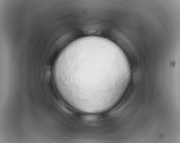 X0000097300085200803071801