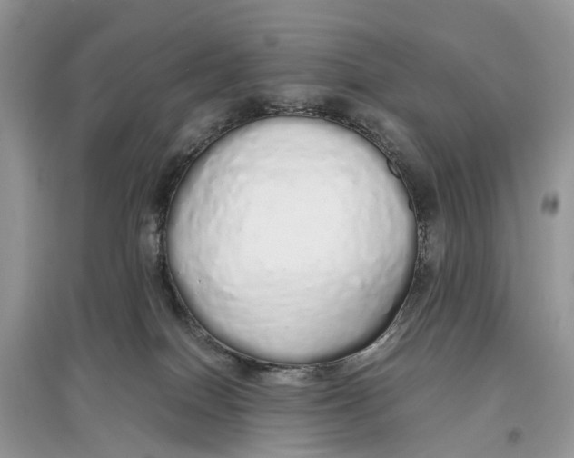 X0000097300086200803071801