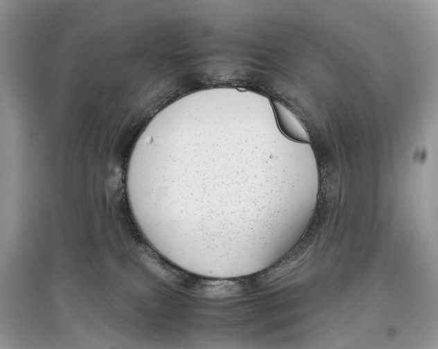 X0000097300087200803071801