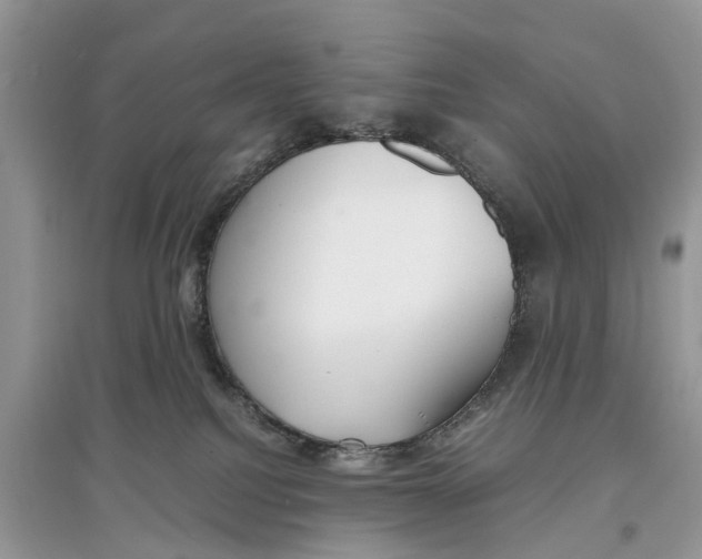 X0000097300088200803071801