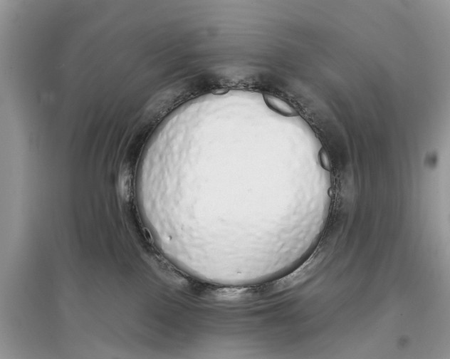 X0000097300090200803071801