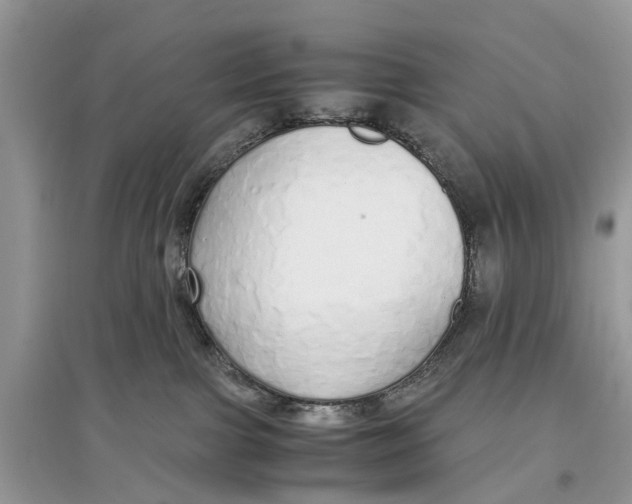 X0000097300091200803071801