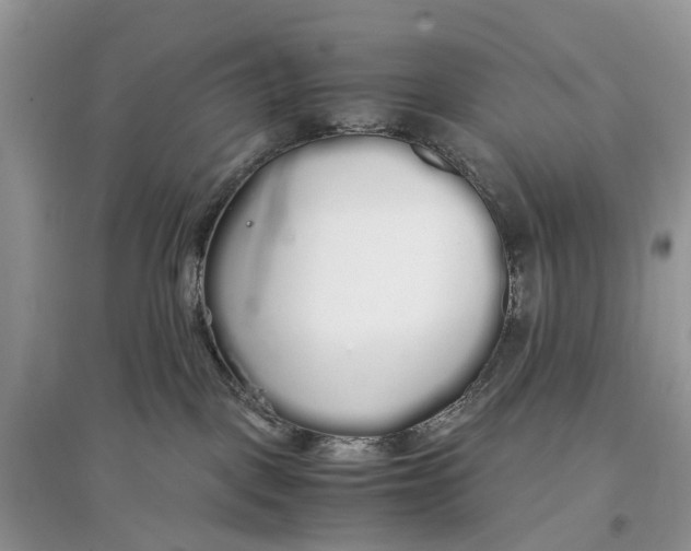 X0000097300093200803071801