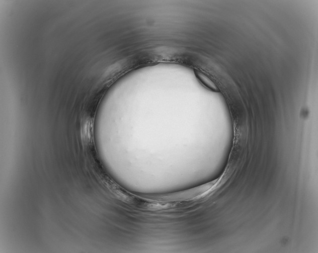 X0000097300094200803071801