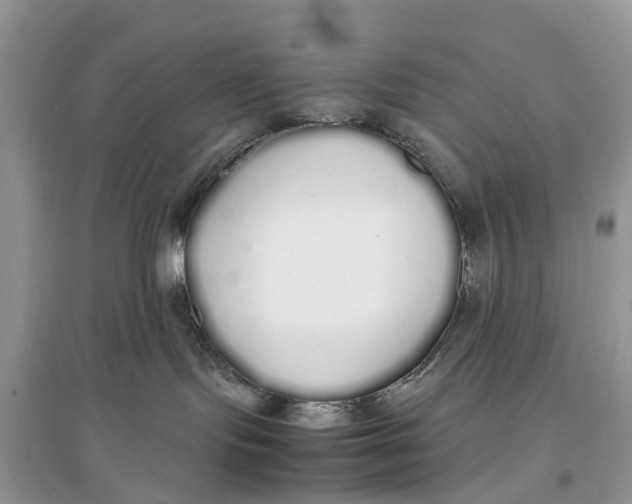 X0000097300095200803071801