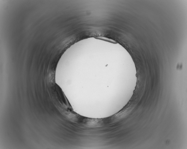 X0000097300096200803071801