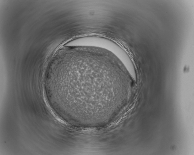 X0000097300097200803071800