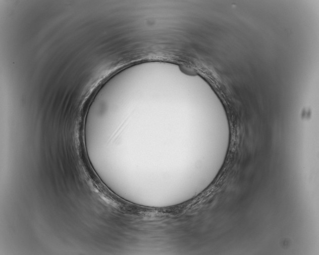 X0000097300098200803071800