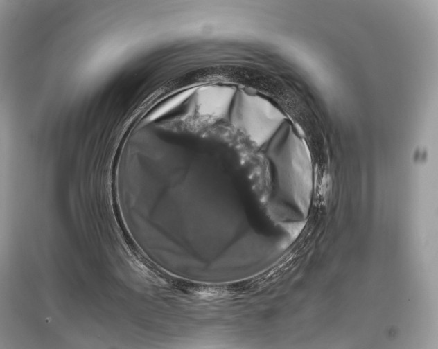 X0000097300099200803071800